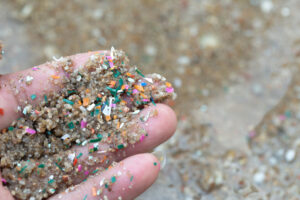 Read more about the article Micro Plastics in Ocean Wildlife & Human Blood